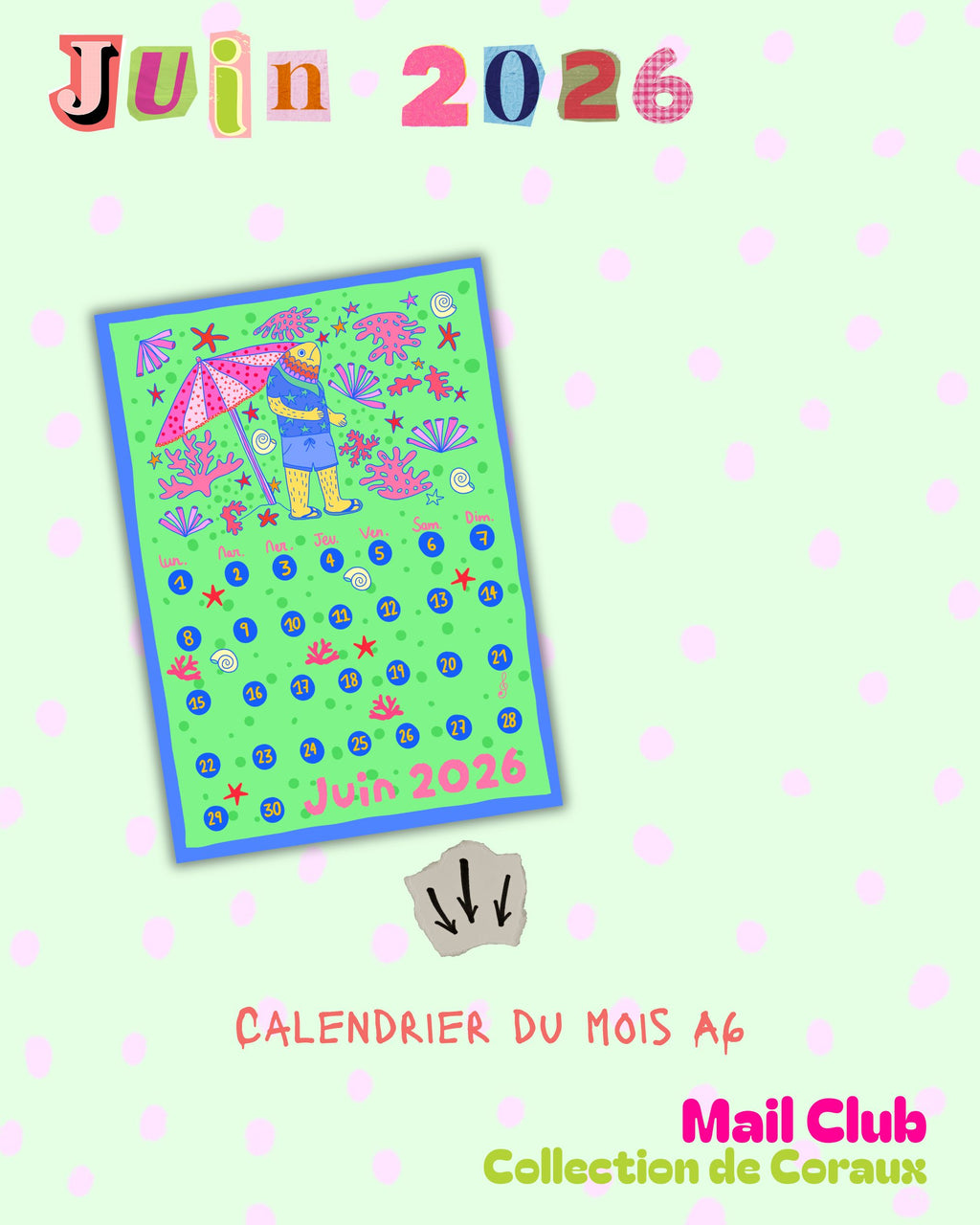 Lettre Accrochée - "Collection de Coraux" Juin 2026