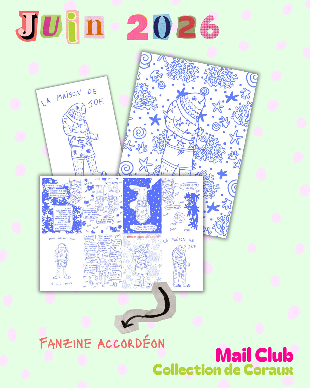Lettre Accrochée - "Collection de Coraux" Juin 2026